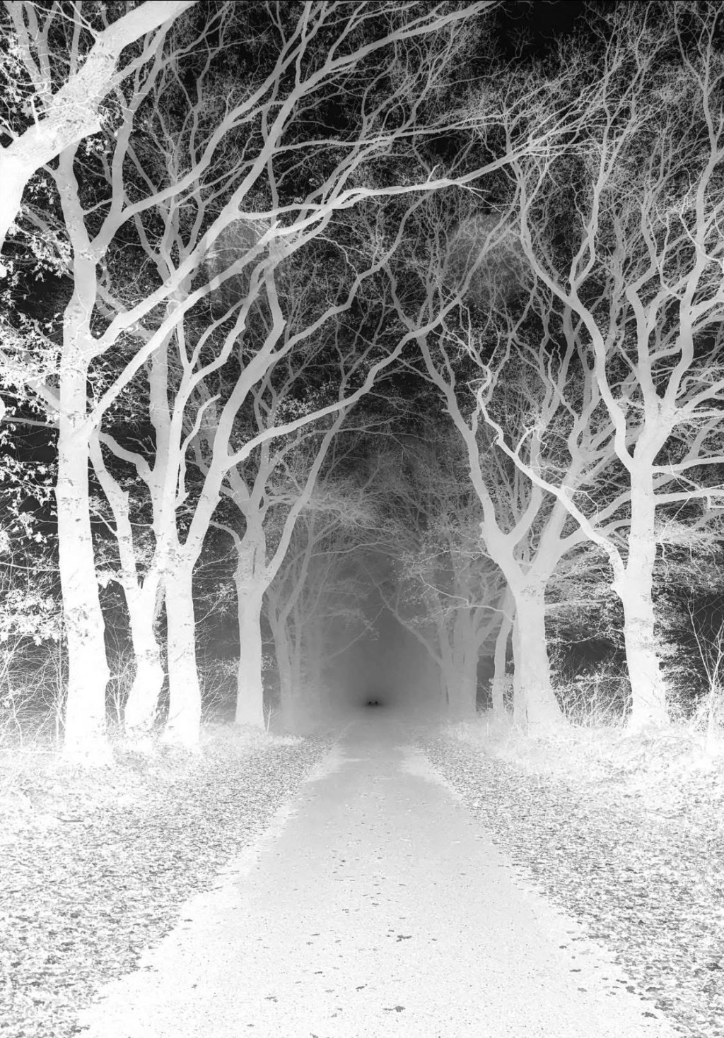 A Conversation: Zombie&nbsp;Road